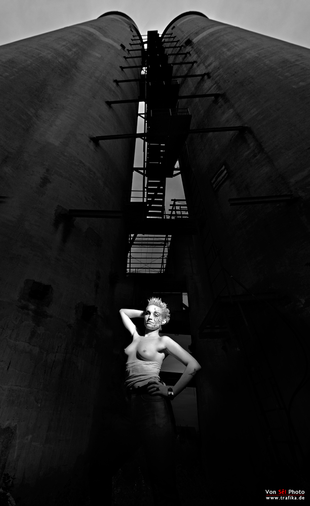 Lizard Time Dark Side I